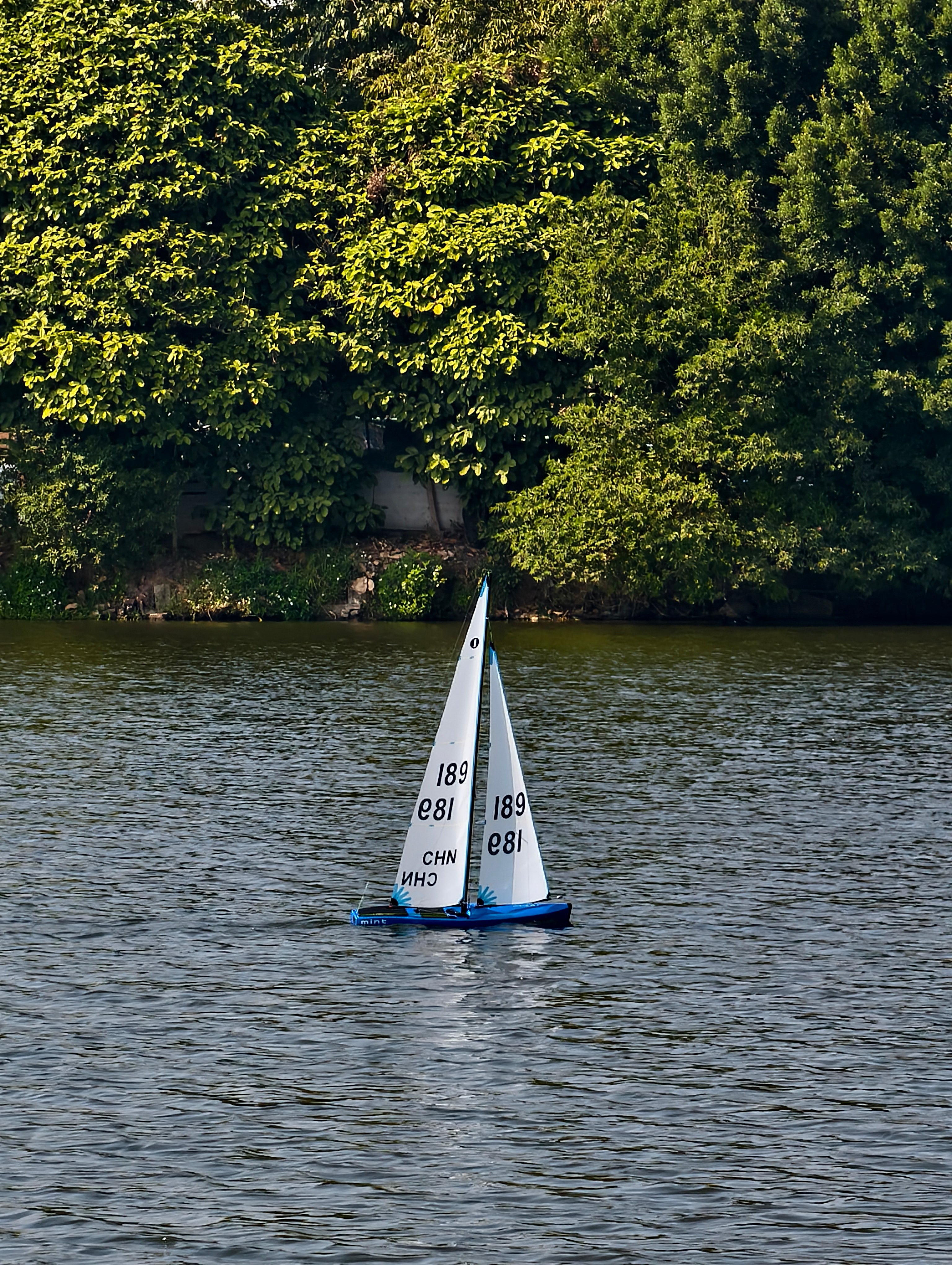 Mint IOM - Pear Blue