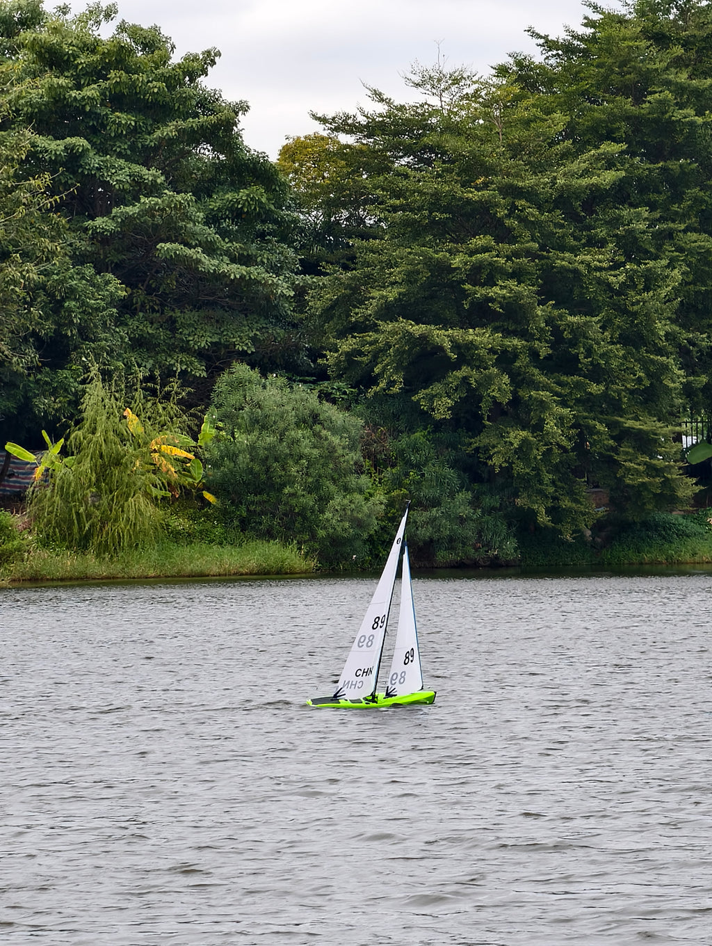 Mint IOM - Pear Green